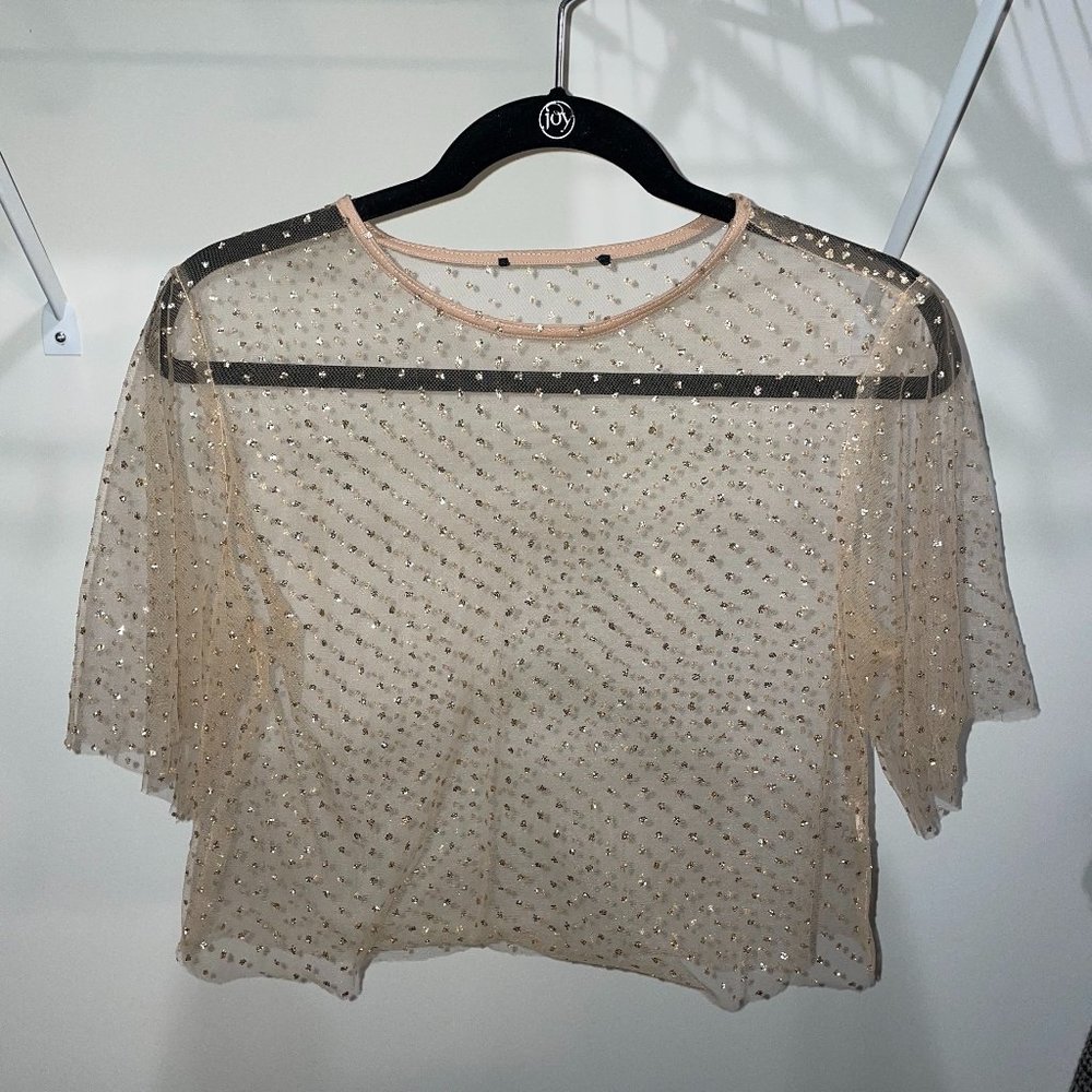 Gold Mesh Sheer Crop Top
